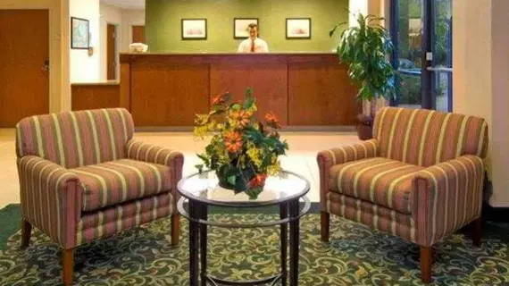 Fairfield Inn and Suites by Marriott Tampa Brandon | Florida - Tampa (ve civarı) - Tampa