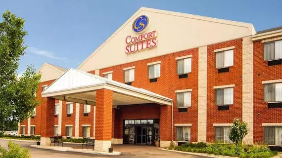 Comfort Suites | Michigan - Detroit (ve civarı) - Southfield