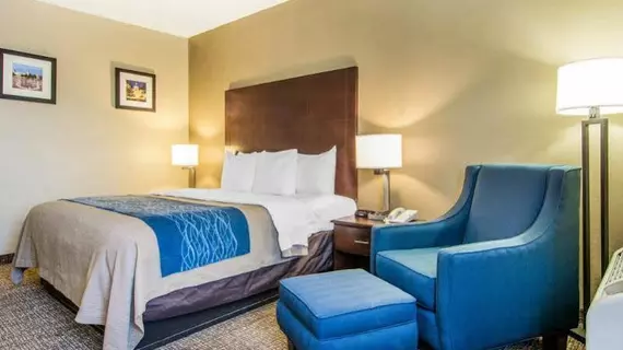 Comfort Inn Atlanta Downtown South | Georgia - Atlanta (ve civarı) - Atlanta