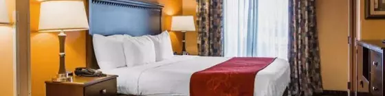 Comfort Suites Gateway | Georgia - Savannah (ve civarı) - Savana