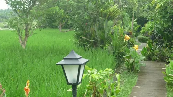 Bliss Bungalow | Bali - Ubud - Kedewatan