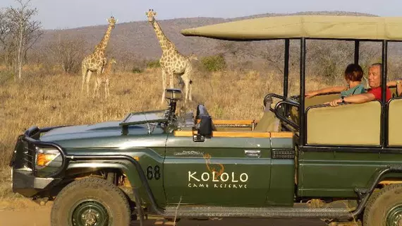 Kololo Game Reserve | Limpopo - Waterberg District - Vaalwater