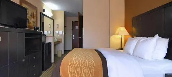 Comfort Inn Portland | Oregon - Portland (ve civarı) - Portland