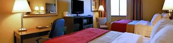 Comfort Inn & Suites Scottsboro | Alabama - Scottsboro (ve civarı) - Scottsboro