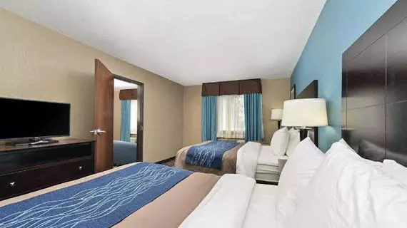 Comfort Inn & Suites Springfield | İllinois - Springfield (ve civarı) - Springfield