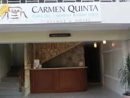 Carmen Quinta | Quintana Roo - Solidaridad - Playa del Carmen - Avenida Constituyentes