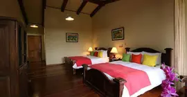 Trapp Family Lodge | Puntarenas (ili) - Monteverde