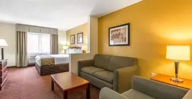 Quality Inn | Alabama - Montgomery (ve civarı) - Montgomery