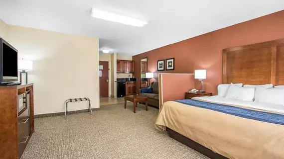 Comfort Inn Livingston | Alabama - Demopolis (ve civarı) - Livingston