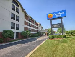 Comfort Inn Near Greenfield Village | Michigan - Detroit (ve civarı) - Dearborn