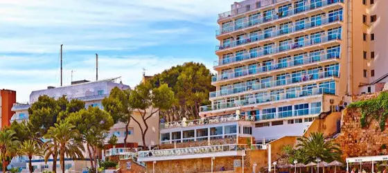 Flamboyan Caribe | Balearic Adaları - Mayorka Adası - Calvia - Magaluf