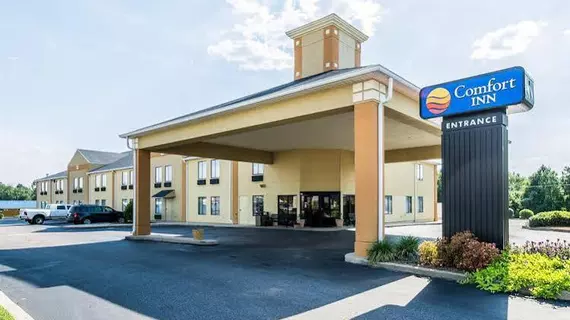 Comfort Inn | Alabama - Jackson (ve civarı) - Thomasville