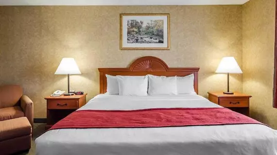 Comfort Inn & Suites | Kentucky - Owensboro (ve civarı) - Rockport