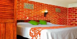 Hotel Rosita | Nayarit - Bahía de Banderas - Puerto Vallarta (ve civarı) - Puerto Vallarta - Gringo Gulch - Puerto Vallarta Şehir Merkezi