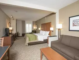 Comfort Inn & Suites West Chester | Ohio - Cincinnati (ve civarı) - West Chester