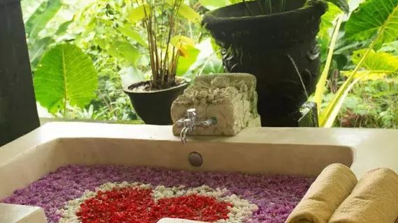 Atta Mesari Resort and Villas | Bali - Ubud - Petulu