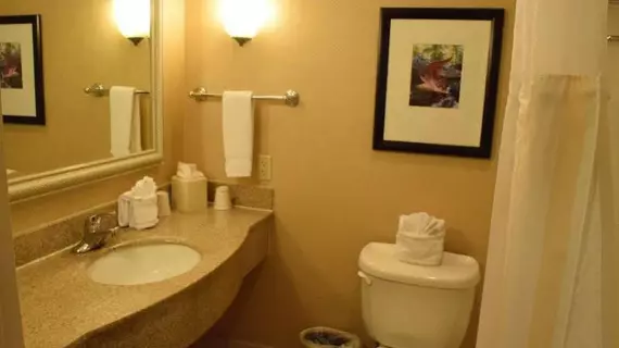 Hilton Garden Inn Houston/The Woodlands | Teksas - Conroe (ve civarı) - The Woodlands