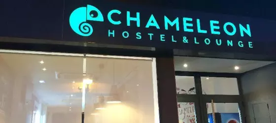 Chameleon Hostel Alicante | Valencia Bölgesi - Alicante (vilayet) - Alicante