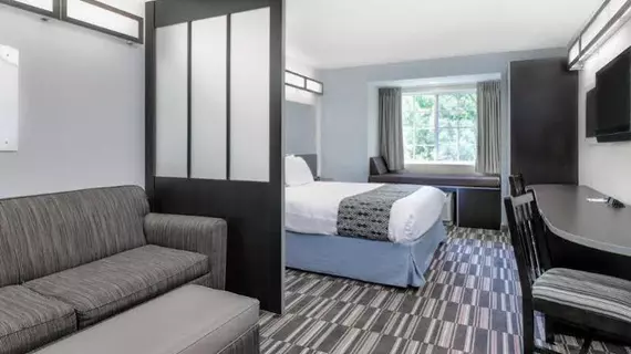 Microtel Inn & Suites by Wyndham Hoover/Birmingham | Alabama - Birmingham (ve civarı) - Bessemer - Hoover