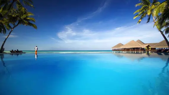 Medhufushi Island Resort | Maldivler - Mulaku Mercan Adası - Medhufushi