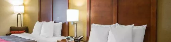 Comfort Inn Albany/Glenmont | New York - Albany (ve civarı) - Glenmont