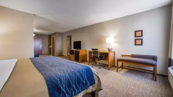 COMFORT INN & SUITES CHEYENNE | Wyoming - Cheyenne (ve civarı) - Cheyenne