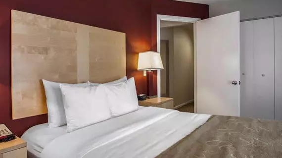 Comfort Suites Michigan Avenue | İllinois - Chicago (ve civarı) - Chicago - The Loop