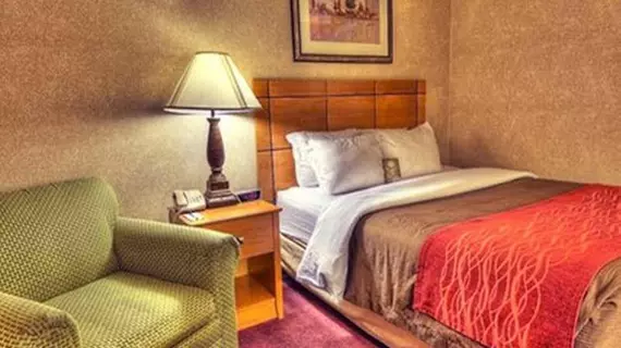 Comfort Inn Great Falls | Montana - Great Falls (ve civarı) - Great Falls