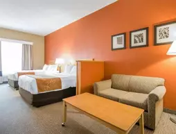 Comfort Suites Airport Louisville | Kentucky - Louisville (ve civarı) - Louisville