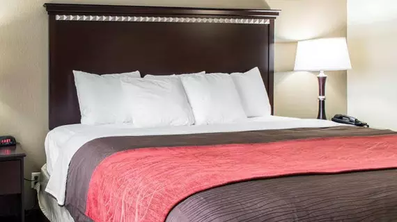 Comfort Inn & Suites Airport and Expo | Kentucky - Louisville (ve civarı) - Louisville