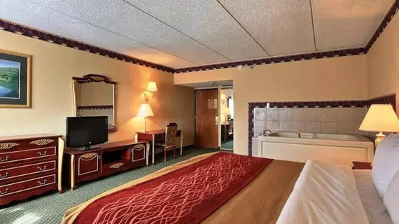 Comfort Inn Farmington Hills | Michigan - Detroit (ve civarı) - Farmington Hills