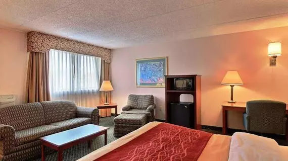 Comfort Inn Farmington Hills | Michigan - Detroit (ve civarı) - Farmington Hills