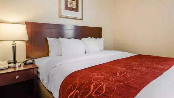 Comfort Suites Jeffersonville | Indiana - Jeffersonville - Clarksville (ve civarı) - Jeffersonville