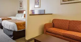 Comfort Suites Jeffersonville | Indiana - Jeffersonville - Clarksville (ve civarı) - Jeffersonville