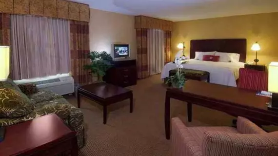 Hampton Inn and Suites San Antonio Airport | Teksas - San Antonio (ve civarı) - San Antonio - Kuzey San Antonio - SAT Havalimanı