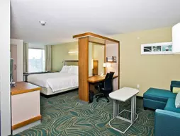 Springhill Suites Mobile | Alabama - Mobile (ve civarı) - Mobile