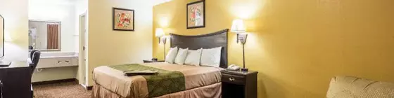 Econo Lodge Inn and Suites Searcy | Arkansas - Searcy (ve civarı) - Searcy