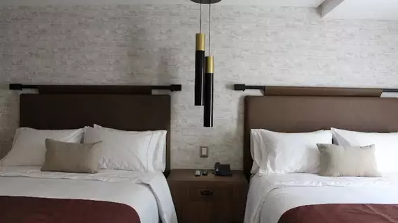 Arborea Hotel | Jalisco - Guadalajara (ve civarı) - Guadalajara