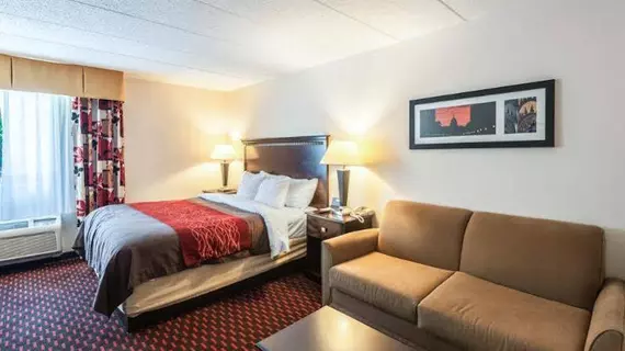 Comfort Inn Annapolis | Maryland - Annapolis (ve civarı) - Annapolis