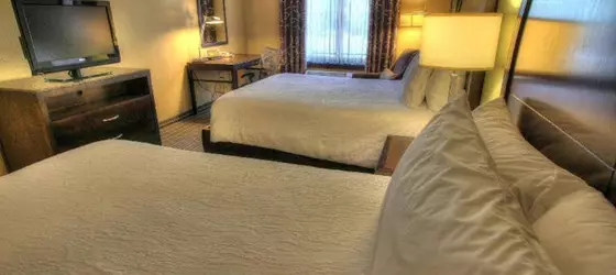 HILTON GARDEN INN GATLINBURG | Tennessee - Gatlinburg - Pigeon Forge (ve civarı) - Gatlinburg