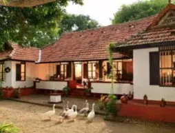 Royal Village | Kerala - Ernakulam Bölgesi - Koşin (ve civarı) - Koçi