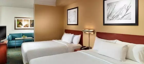 SpringHill Suites Atlanta Buckhead | Georgia - Atlanta (ve civarı) - Atlanta - Buckhead