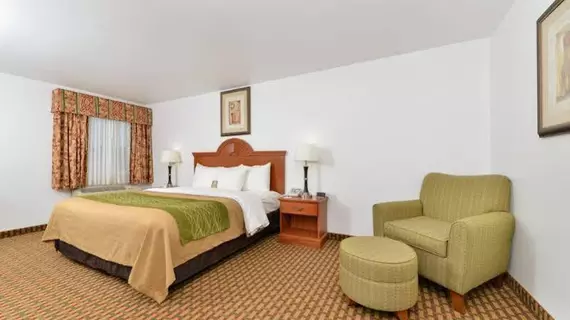 Comfort Inn Willow Springs | Missouri - West Plains (ve civarı) - Willow Springs