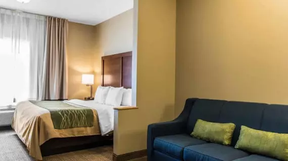 Comfort Inn Lancaster County | Pensilvanya - Lancaster (ve civarı) - Columbia