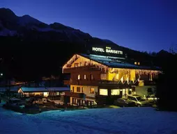 Barisetti Sport Hotel | Veneto - Belluno (vilayet) - Cortina d'Ampezzo