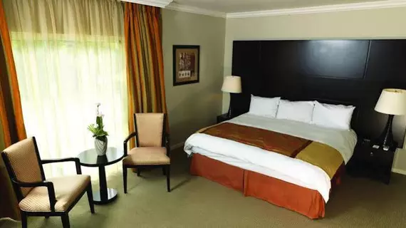 Holiday Inn Johannesburg Sunnyside Park | Gauteng - City of Tshwane - Johannesburg (ve civarı) - Johanesburg