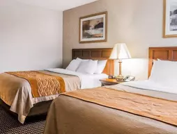 Comfort Inn Utica | Michigan - Detroit (ve civarı) - Utica