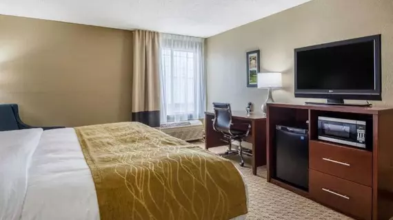 Comfort Inn | Güney Karolayna - Myrtle Plajı (ve civarı) - North Myrtle Beach