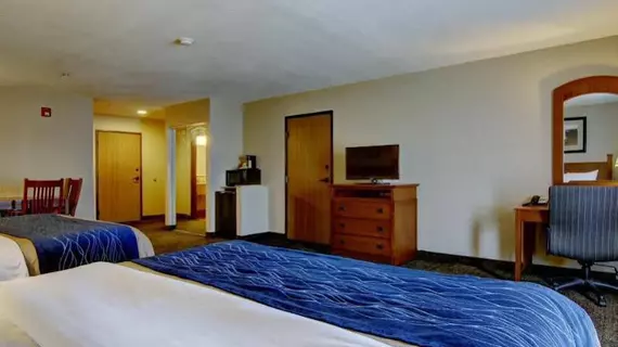 Comfort Inn & Suites Blue Ridge | Georgia - Blue Ridge (ve civarı) - Blue Ridge