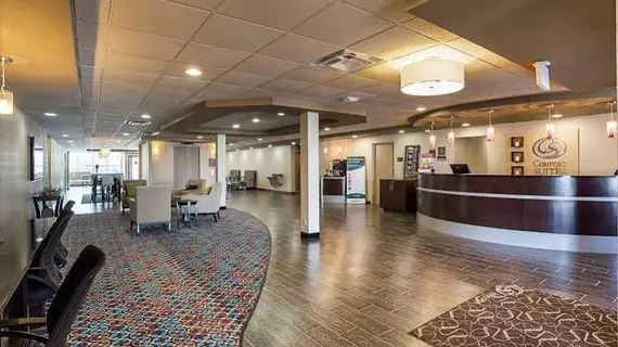 Comfort Suites University | Louisiana - Baton Rouge (ve civarı) - Baton Rouge